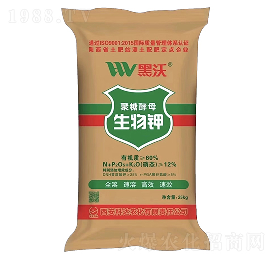 ���ǽ�ĸ�����-����-���_(d��)�r(n��ng)��