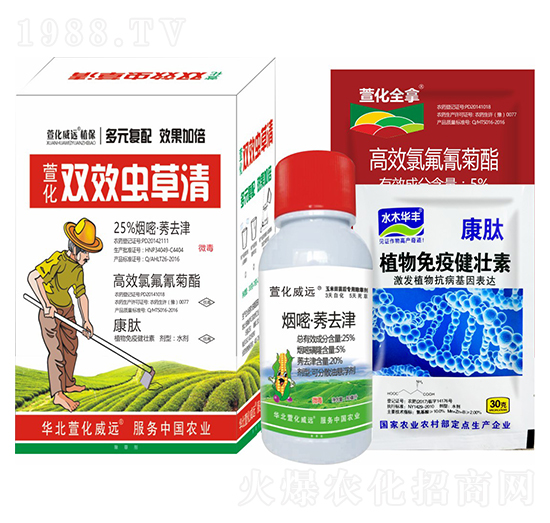 �pЧ�x����-�滯���h(yu��n)