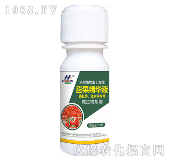 �������Ƅ�-���t����ʥŮ������-��ķ˹��