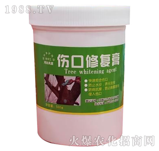 �����ޏ�(f��)��-�ӱ��P��