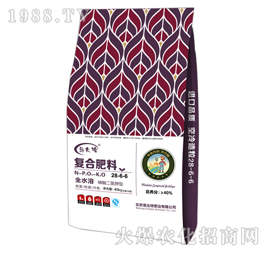 ���������͏�(f��)�Ϸ���28-6-6-�R���