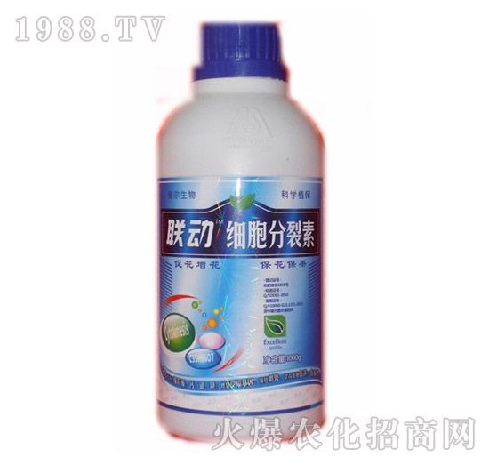 ��(x��)��������-(li��n)��-� �����