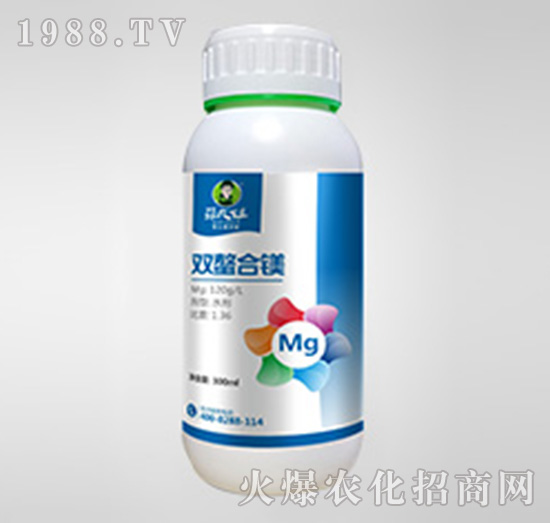 �p�����V-�����