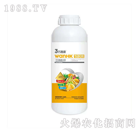 �������-�f�ݿ�