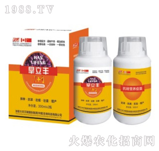 �����S�޻���N��-�S�f��