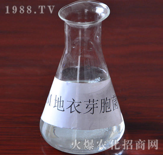 EM����ѿ�߾�-�VԪ����