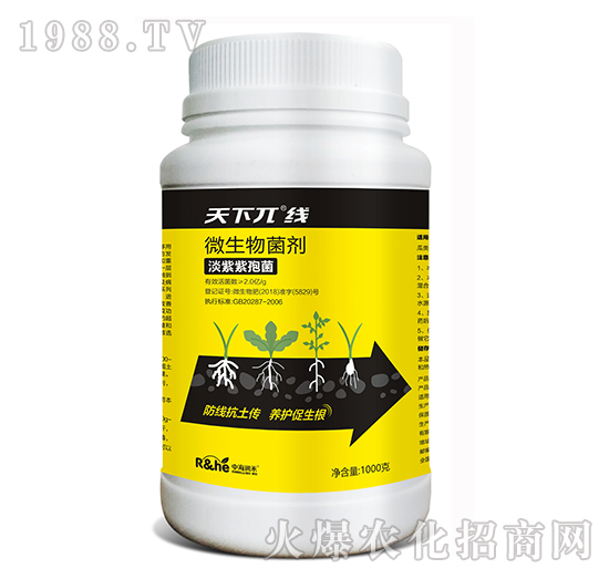 ΢�������-����أ��-�к���(r��n)��