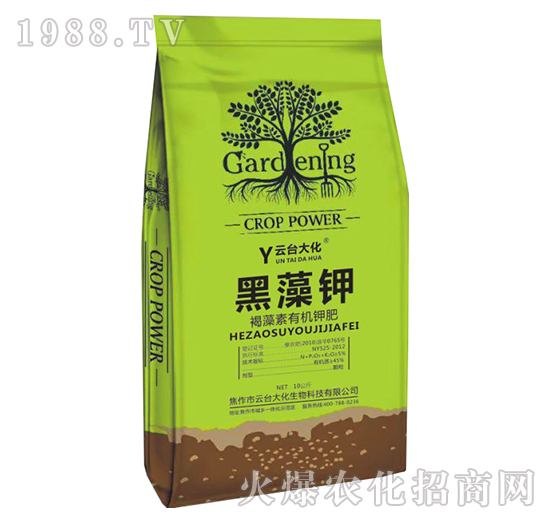 �������ЙC⛷�-�����-���_��