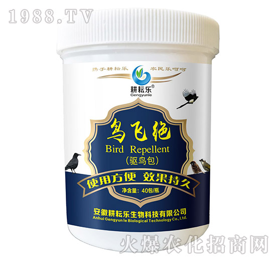 �B�w�^-���Ř�