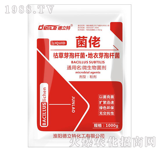 ����-������