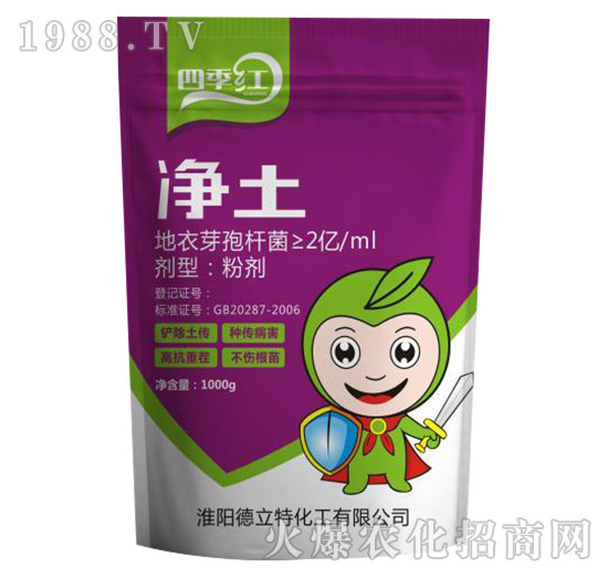 ����-�ļ��t-������