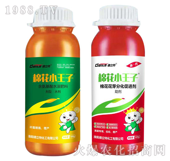 �޻�С����-������