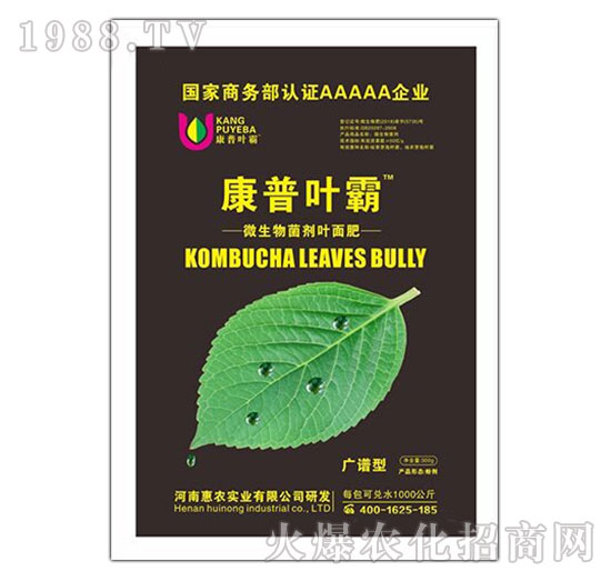 �V�V��΢��������~���-�����~��-���r���I(y��)