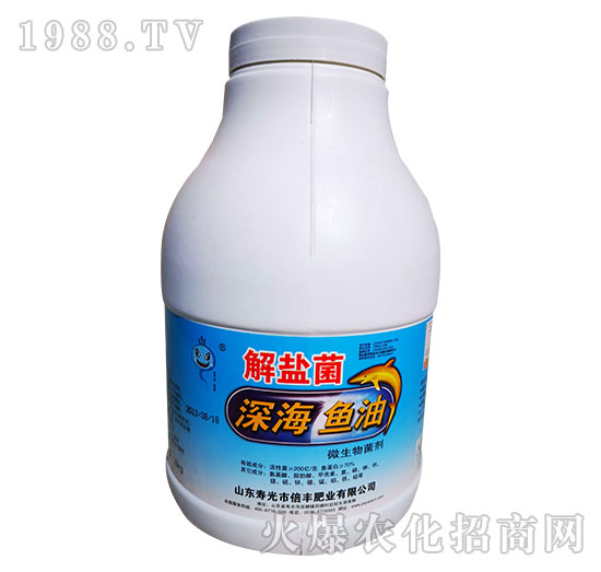 ���}����~��΢�������-���S�ʘI(y��)