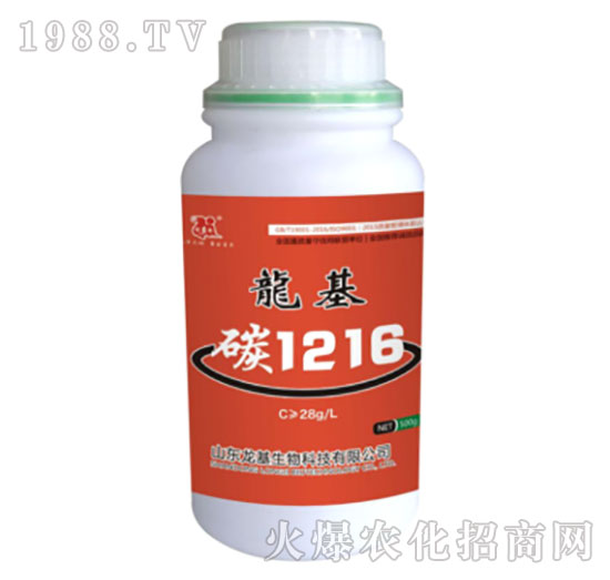 ����̼1216-��������