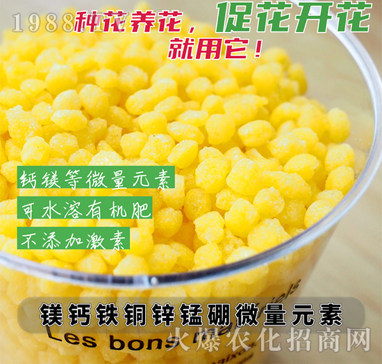 �V�}�F�~�\�i��΢��Ԫ��-��������