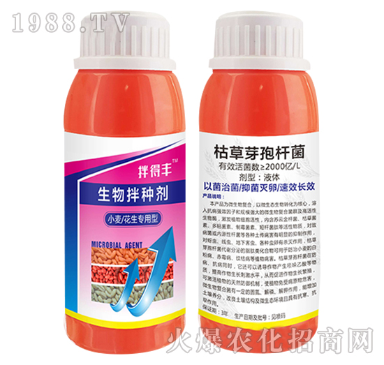 С��������(zhu��n)�������N��-����S-���T����