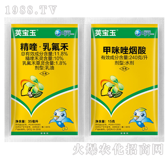 11.8%��ୡ������-�v����-��������