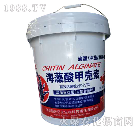 ������ך���-�(y��ng)��|�r(n��ng)