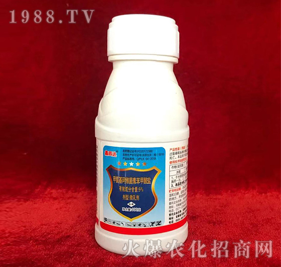 5%�װ������S���ر������}-�����_(d��)-���_(d��)�r(n��ng)ˎ