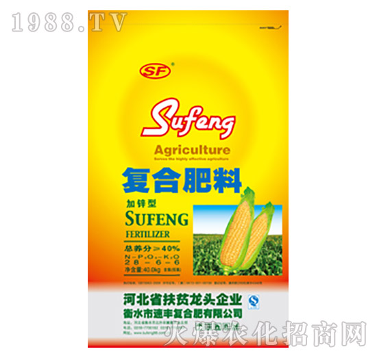 ���\�͏ͺϷ���28-6-6-���S