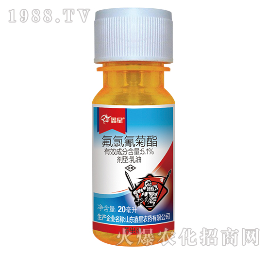 20�������������-����