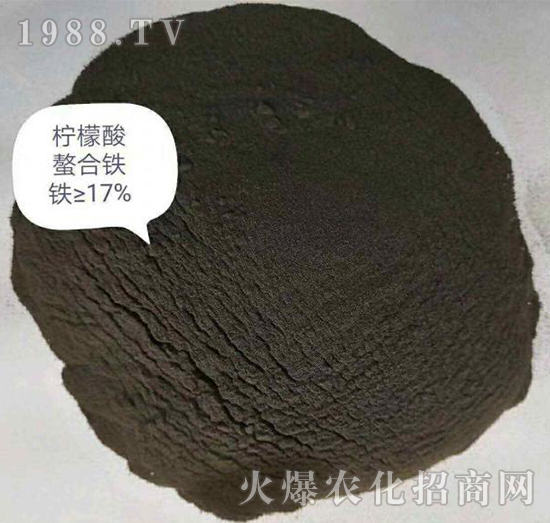 �����������F-����