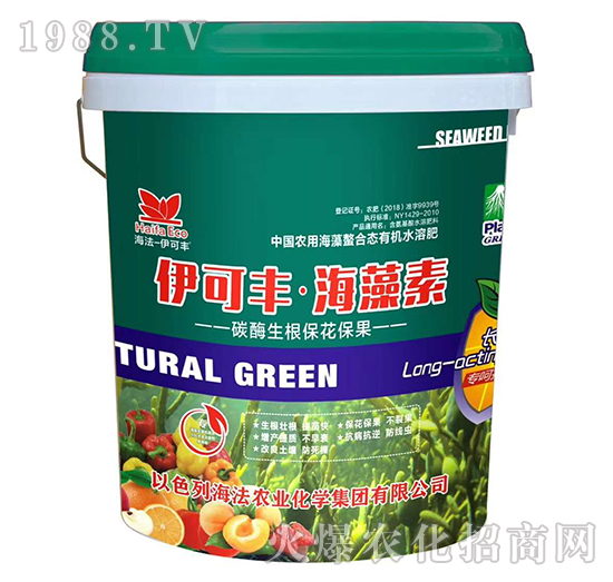 ̼ø������������-�����S��������-����