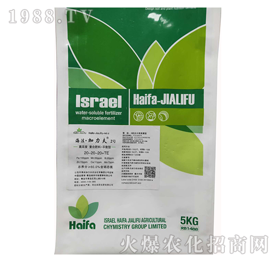 ƽ���͏ͺϷ���20-20-20+TE-����������2̖-����������