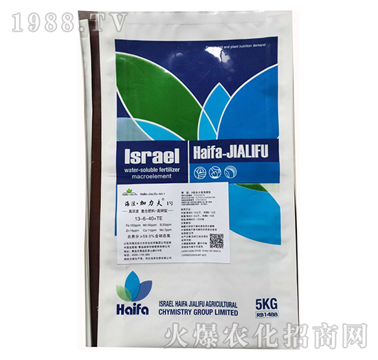 ����͏�(f��)�Ϸ���13-6-40+TE-����������1̖-����������