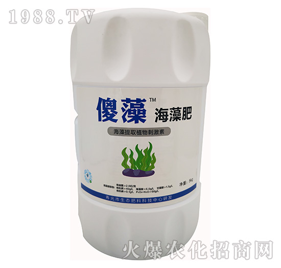 ɵ�庣���-���S�ʘI(y��)