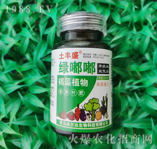 �G��-���Sʢ-�����_