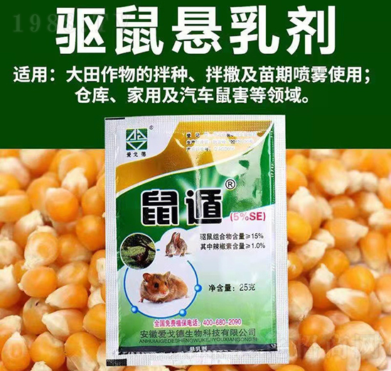 �(q��)��Ҹ���-���-�۸������