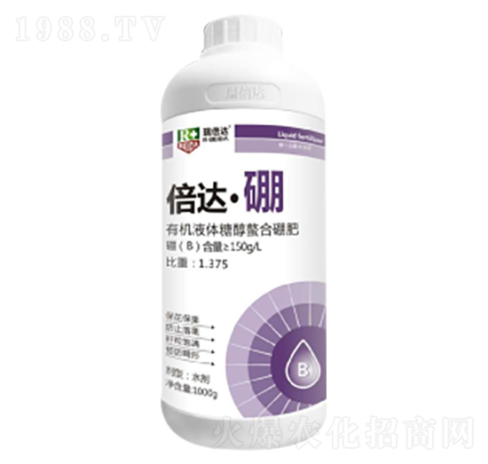 1000g���_(d��)����-���_(d��)