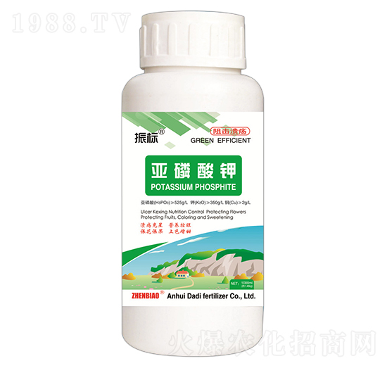 �������-���-��ػ���