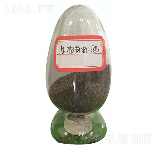 �����ЙC(j��)��-��ꖿƼ�