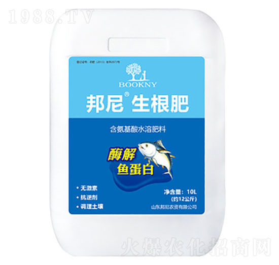 ø���~����-����������-����