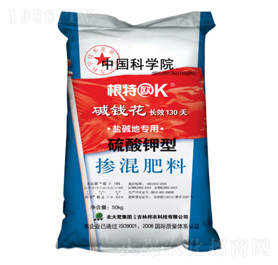 ������͓������-���r�Ƽ�