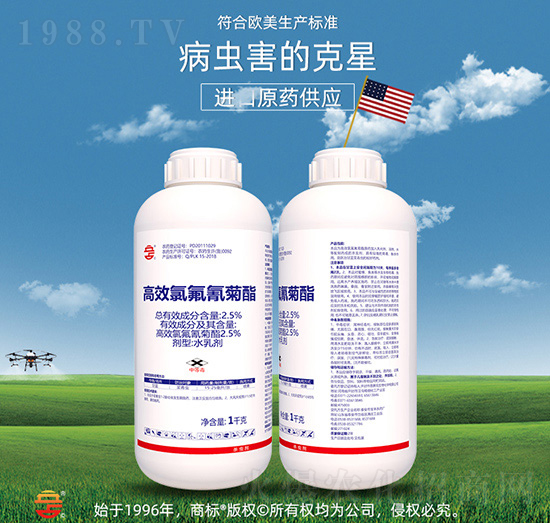 2.5%��Ч�ȷ������-��ռ�r�Y