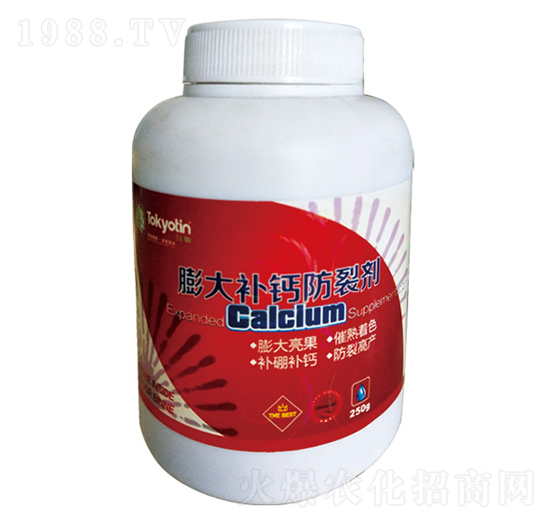 ����a�}���ф�-�����r�I(y��)