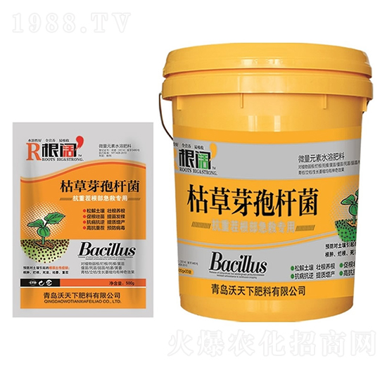 ��響ݲ�ѿ�ߗU��-������