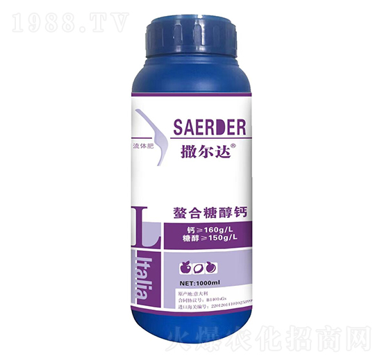 �����Ǵ��}-�����_(d��)-��(y��u)�ݿ�