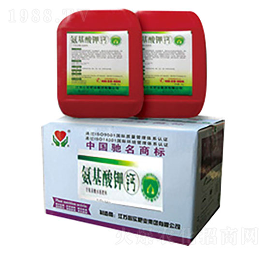 ��������}-�Č�(sh��)�ʘI(y��)