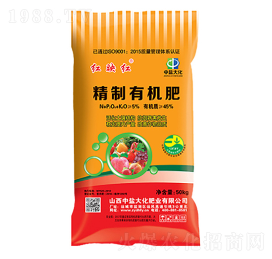 �����ЙC(j��)����-�tӳ�t-���}��