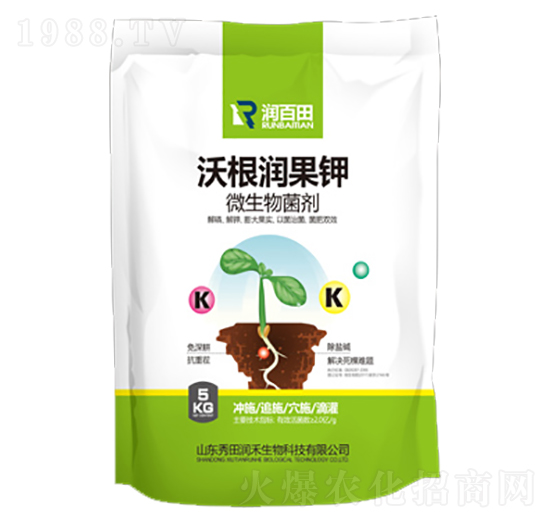 �ָ���(r��n)���-���(r��n)��