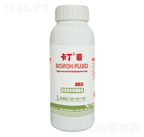 ����s�������Һ-��������-�Ȏ�