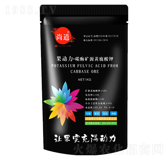 ������-�е�-���S����