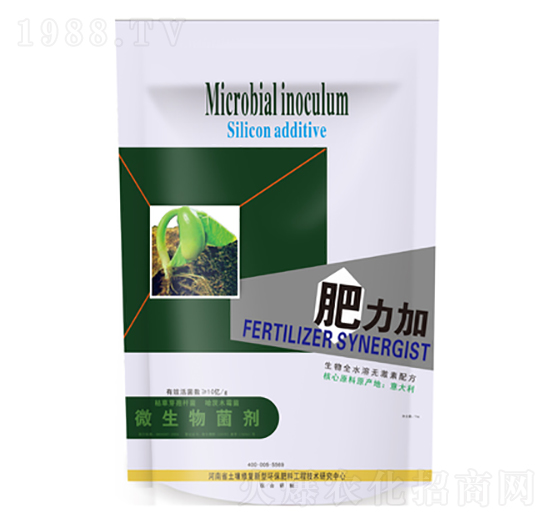 ΢�������-������-�����