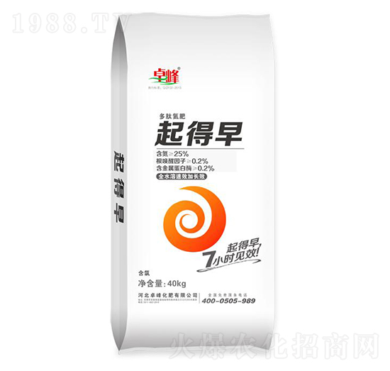 40kg���ĵ���-�����-׿��