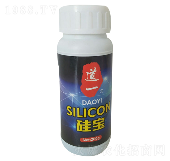 ��һ�茚-��ʢ��